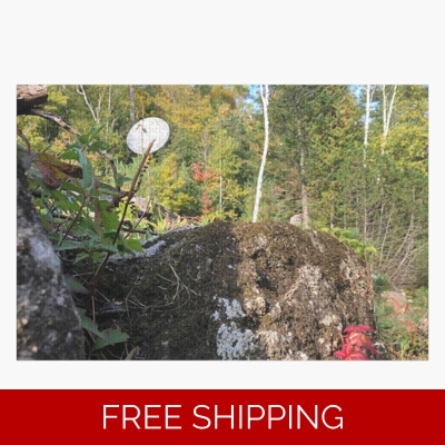 Le Studio Jigsaw Puzzle Satellite Dish 2019